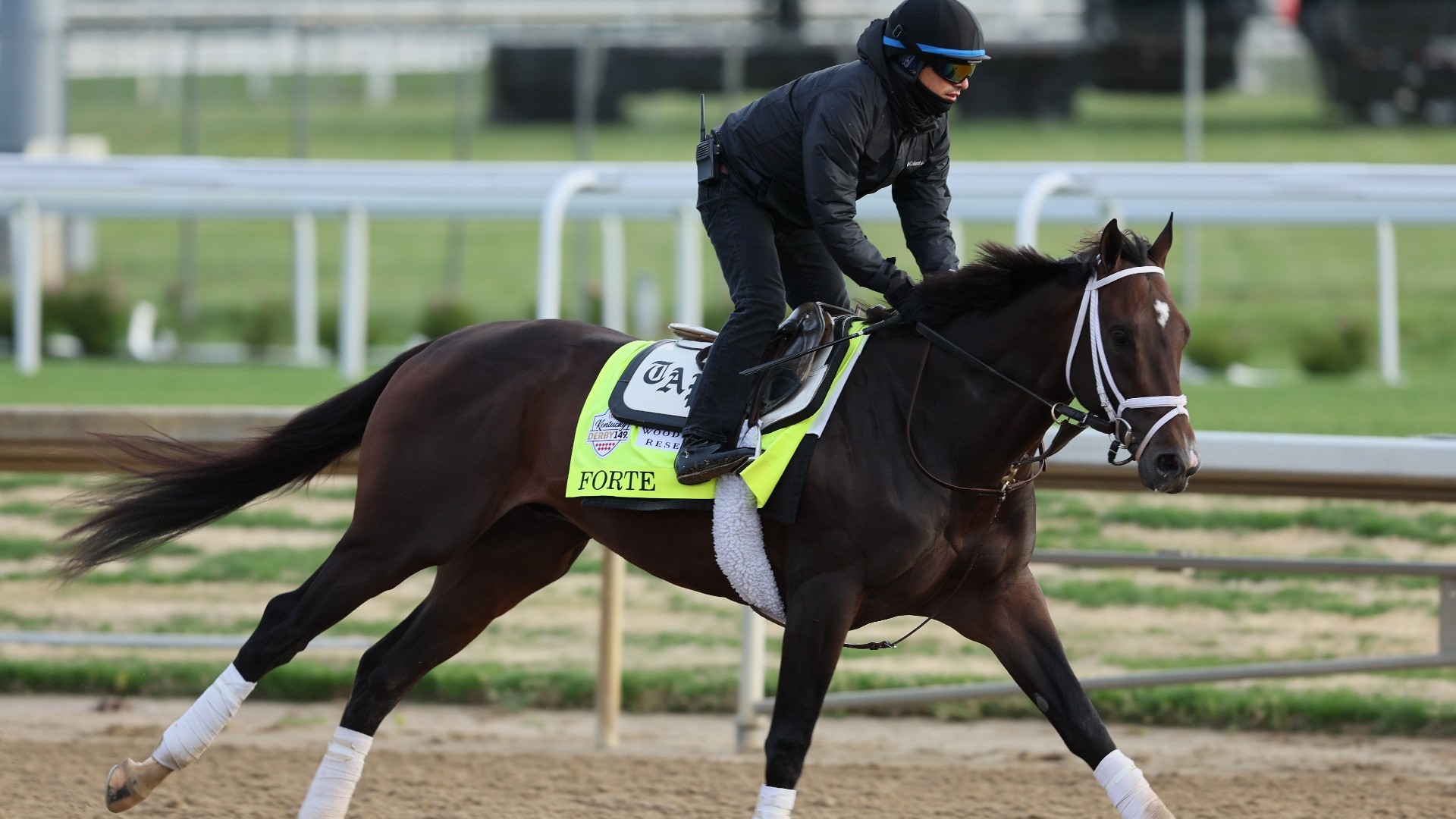 Kentucky Derby 2025 Racing Form Printable Free