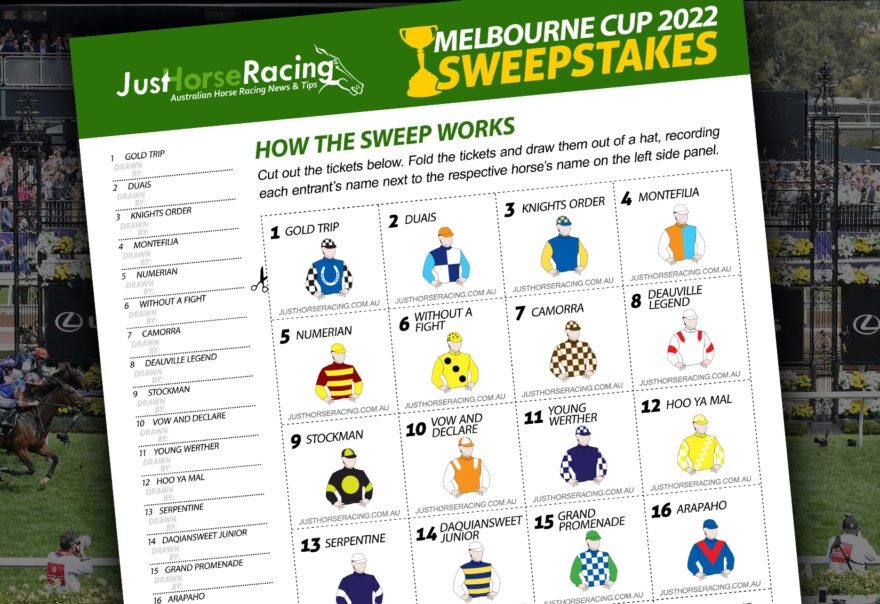 2025 Melbourne Cup Order Of Entry 2025 Imogene A Gonzalez