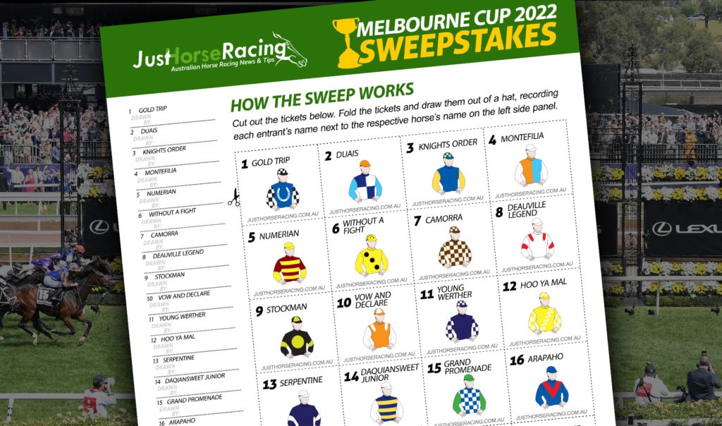 2025 Melbourne Cup Order Of Entry 2025 Imogene A Gonzalez