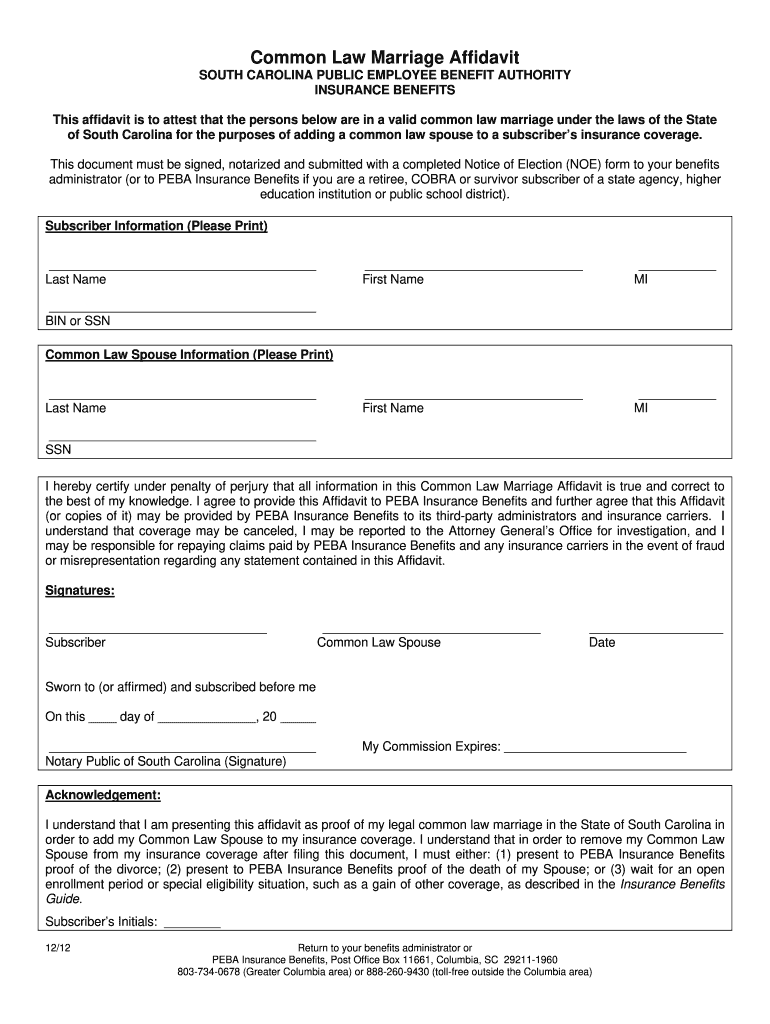 Affidavit For Immigration Marriage Fill Out Sign Online DocHub