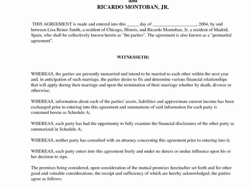 Free Prenuptial Agreement Template Australia 20 Example Prenuptial