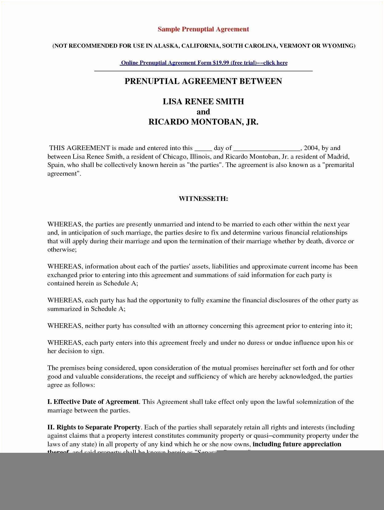 Free Prenuptial Agreement Template Australia 20 Example Prenuptial 