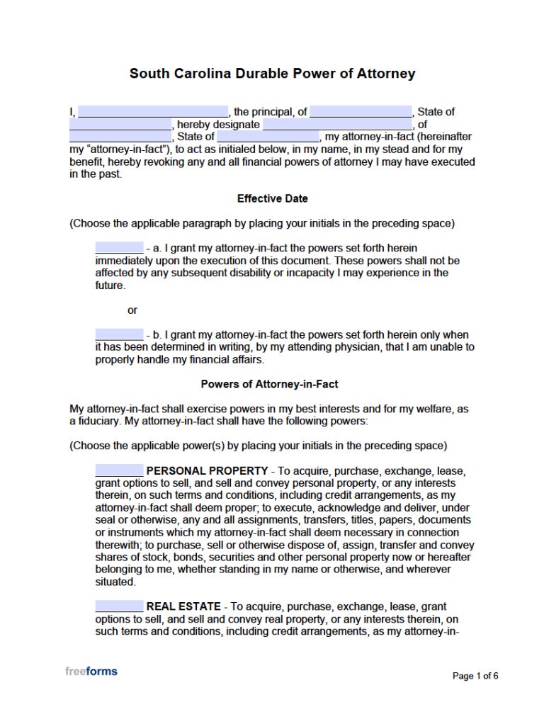 Free South Carolina Power Of Attorney Forms PDF WORD