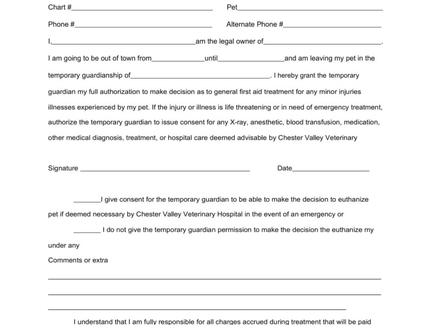 Notarized Printable Temporary Guardianship Agreement Form Printable