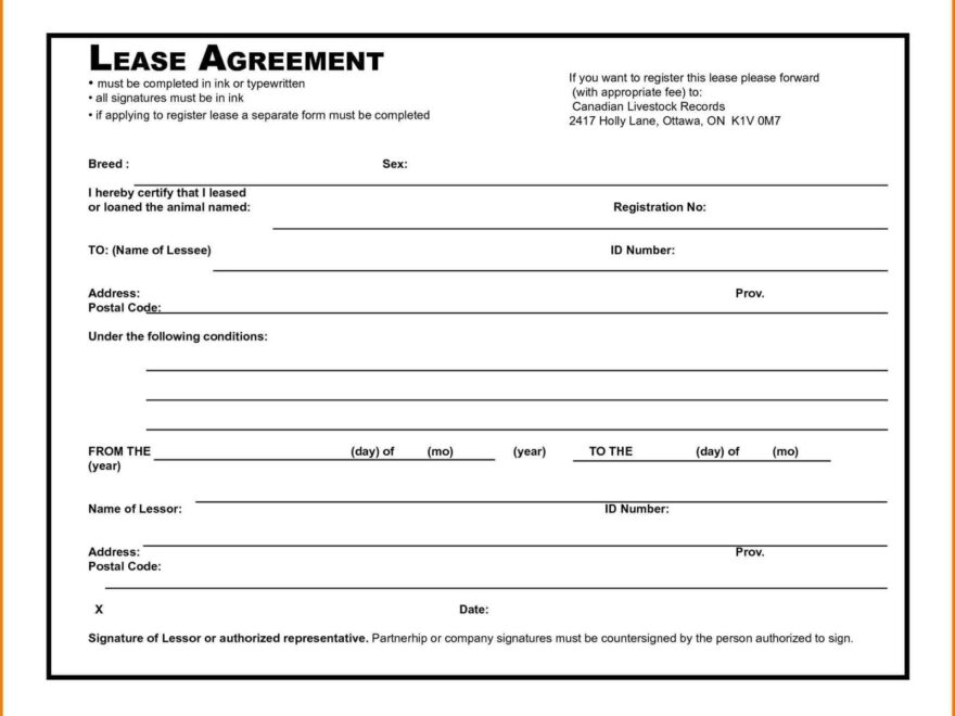 Printable Rental Agreement Forms Printable Forms Free Online
