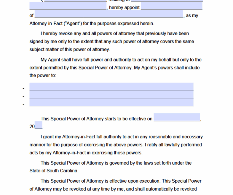 South Carolina Durable Power Of Attorney Form 2025 Dulce Phylis