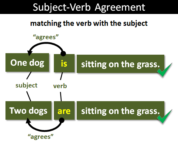 Subject Verb Agreement Printable