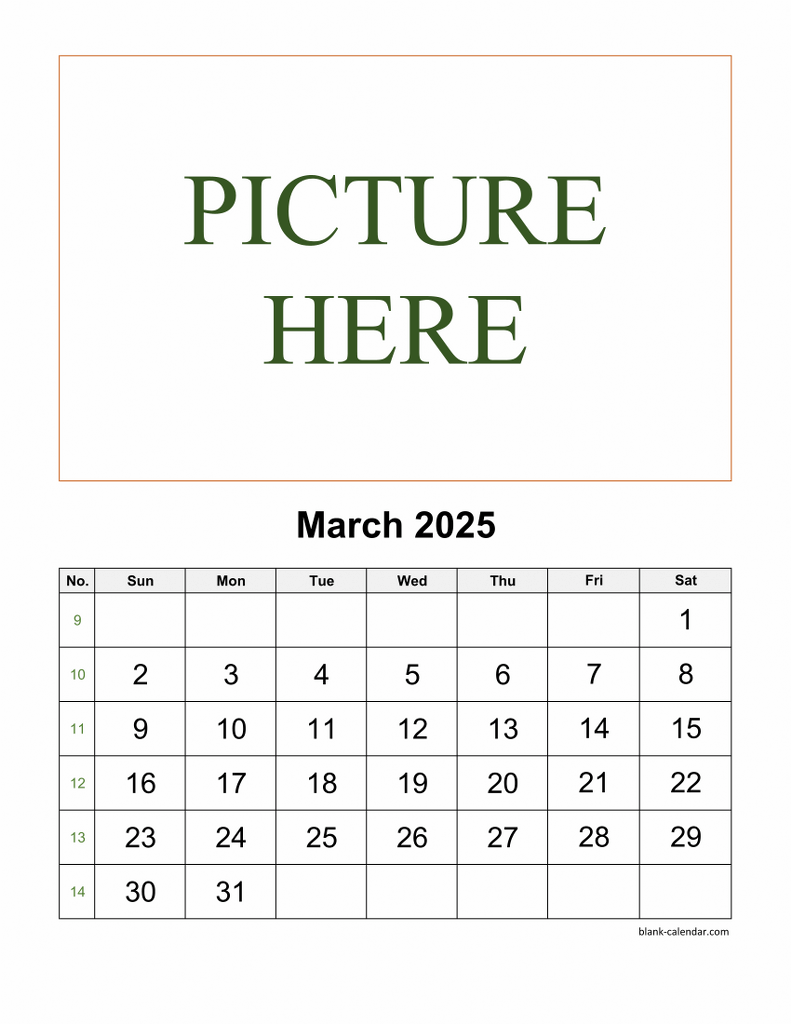 2025 Half Page Calendar Printable Prudencio Lavoie