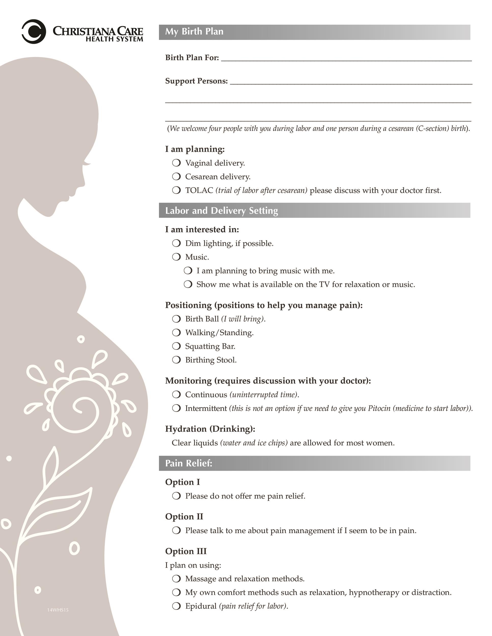 47 Printable Birth Plan Templates Birth Plan Checklist TemplateLab