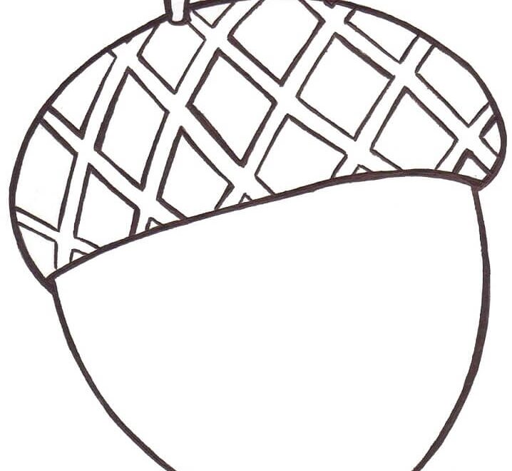 Acorn 1 Coloring Page Free Printable Coloring Pages For Kids