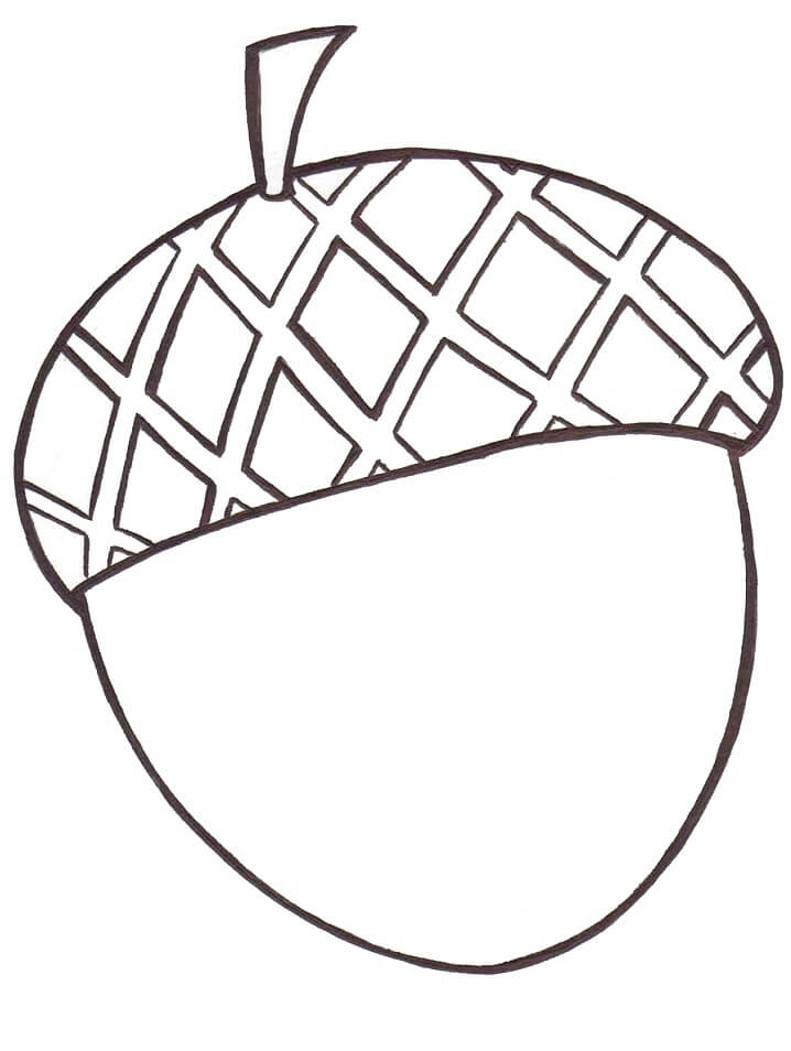 Acorn 1 Coloring Page Free Printable Coloring Pages For Kids