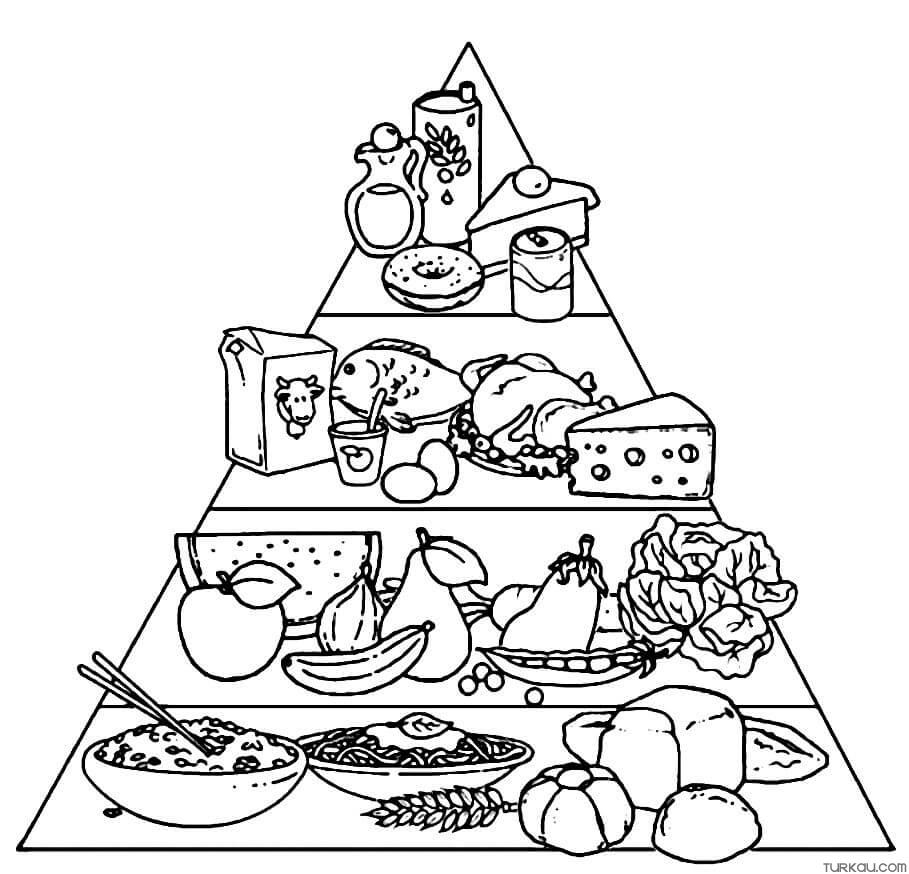 Coloring Food Pyramid Pages Body Kids Healthy Parts Plate Sheets Senses 