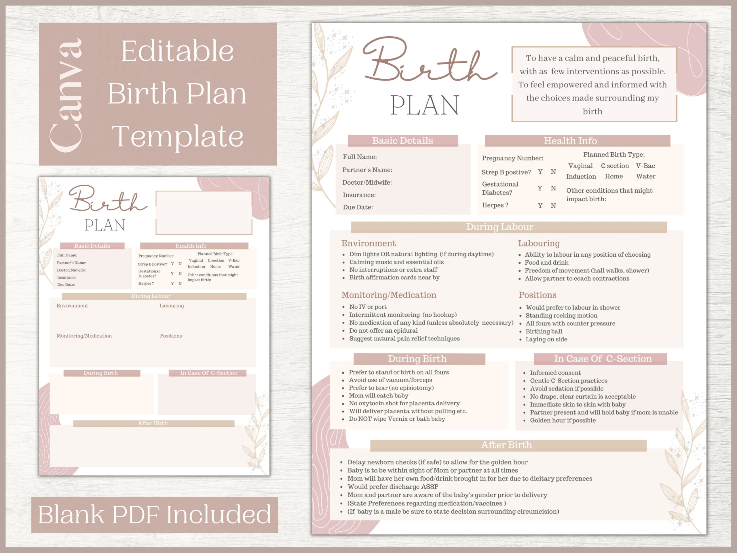 Editable Printable Birth Plan Template