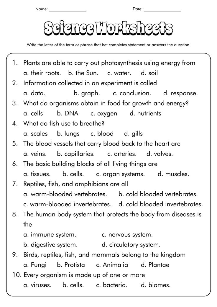 Free 7th Grade Science Worksheets Downloadable And Printable