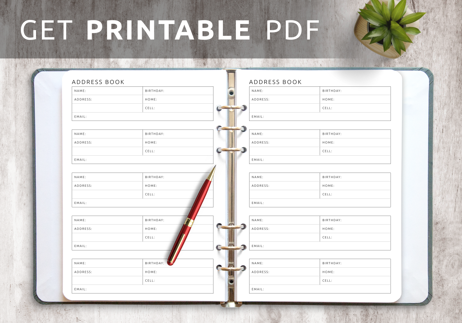 Free Address Book Template Printable Fillable Form 2023