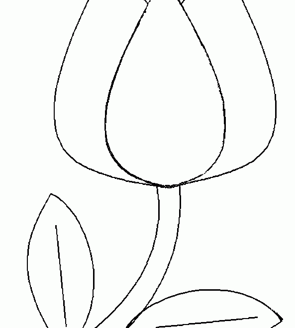 Free Printable Flowers Patterns Tulips Lillies Kathleen T Hollingshead