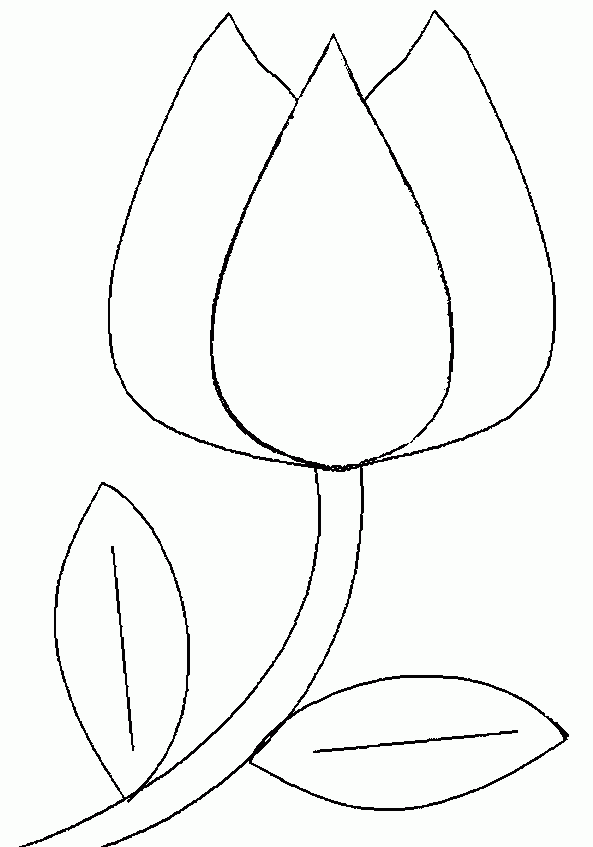 Free Printable Flowers Patterns Tulips Lillies Kathleen T Hollingshead