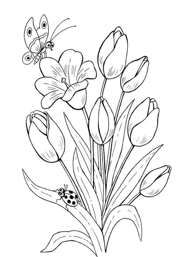 Free Printable Flowers Patterns Tulips Lillies Kathleen T Hollingshead