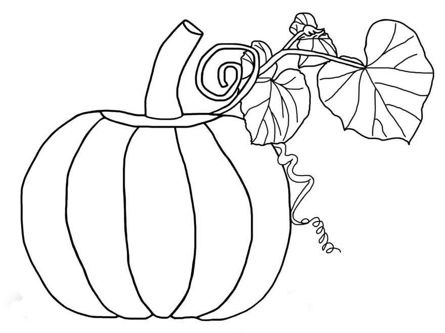 Free Printable Pumpkin Coloring Pages For Kids