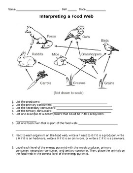 Interpreting A Food Web Worksheet By Must Teach Middle TPT