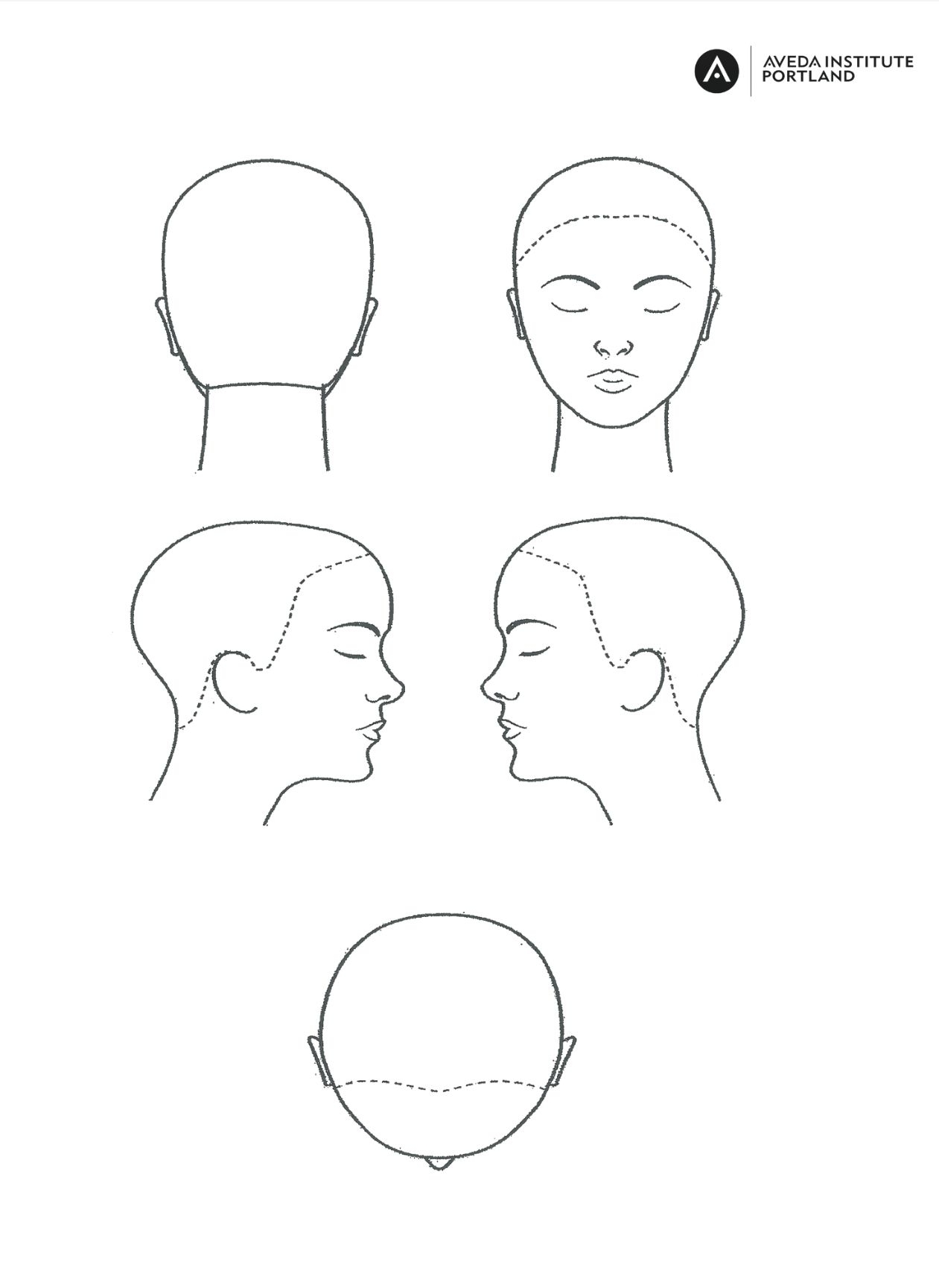 Blank Female Head Form Printable Haircutting
