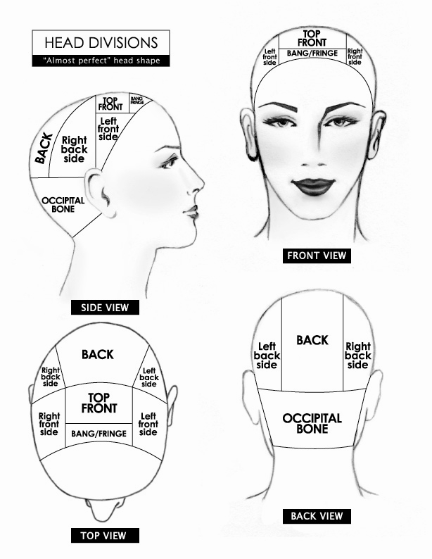 Printable Blank Head Sheets For Hairdressing