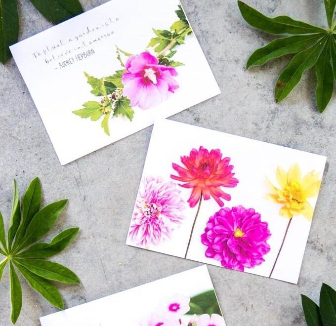 Printable Free Cards All Occasions