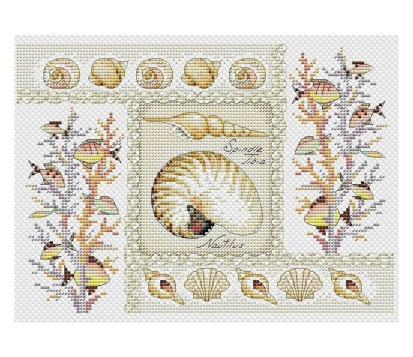 Seashells Cross Stitch Pattern PDF Sea Sampler Cross Stitch Etsy